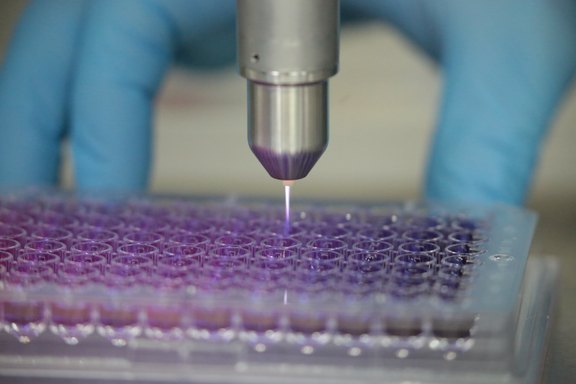 Plasmabehandlung in einer Labor-Mikrotiterplatte, bei der ein Plasmajet einzelne Wells bestrahlt; Hände mit Schutzhandschuhen halten die Platte.