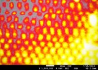Hochaufgelöste Elektronenmikroskopieaufnahme von dicht angeordneten Kobalt-Nanopartikeln mit regelmäßigem Punktmuster.