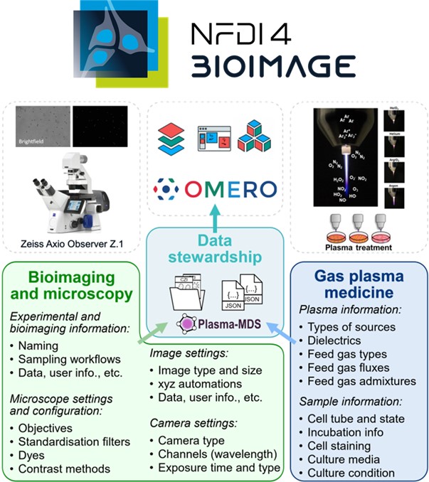 Infographic on NFDI4BIOIMAGE showing the logo and a schematic overview of bioimaging data workflows, microscopy, OMERO, Plasma-MDS, data stewardship, and gas plasma medicine.