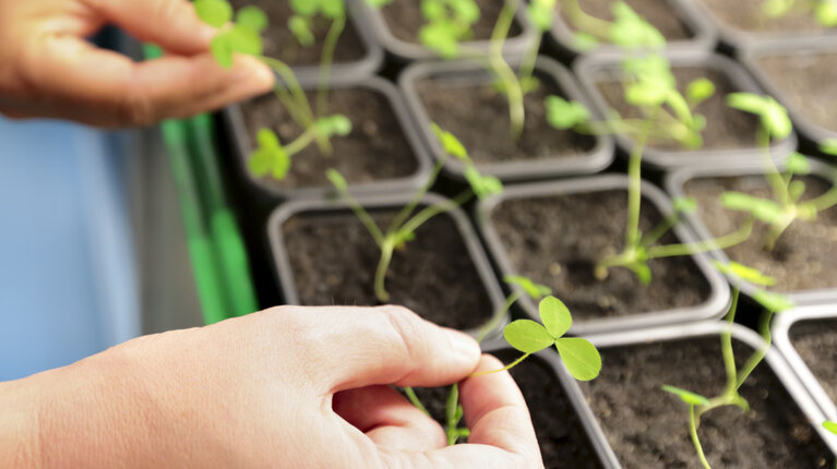 Physikalische Zukunftstechnologien für die Landwirtschaft