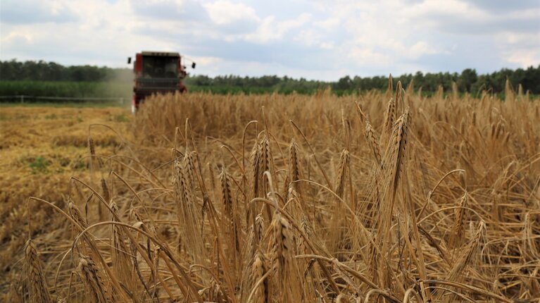 Millionenförderung für eine umweltfreundlichere Landwirtschaft 