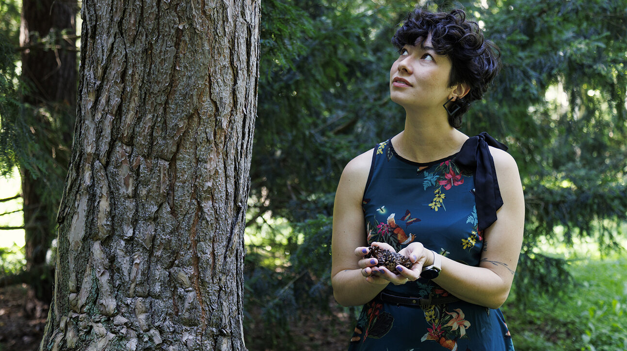 Hightech-Starthilfe für den Wald: Greifswalder Plasmaforschung beschleunigt Aufforstung