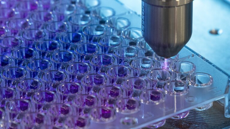 Kaltes Plasma setzt Adenoviren gezielt außer Gefecht