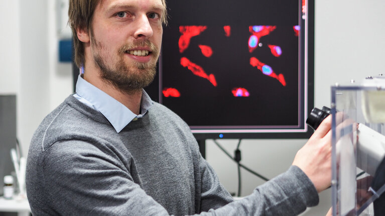 Greifswalder Wissenschaftler forschen an neuer Krebstherapie