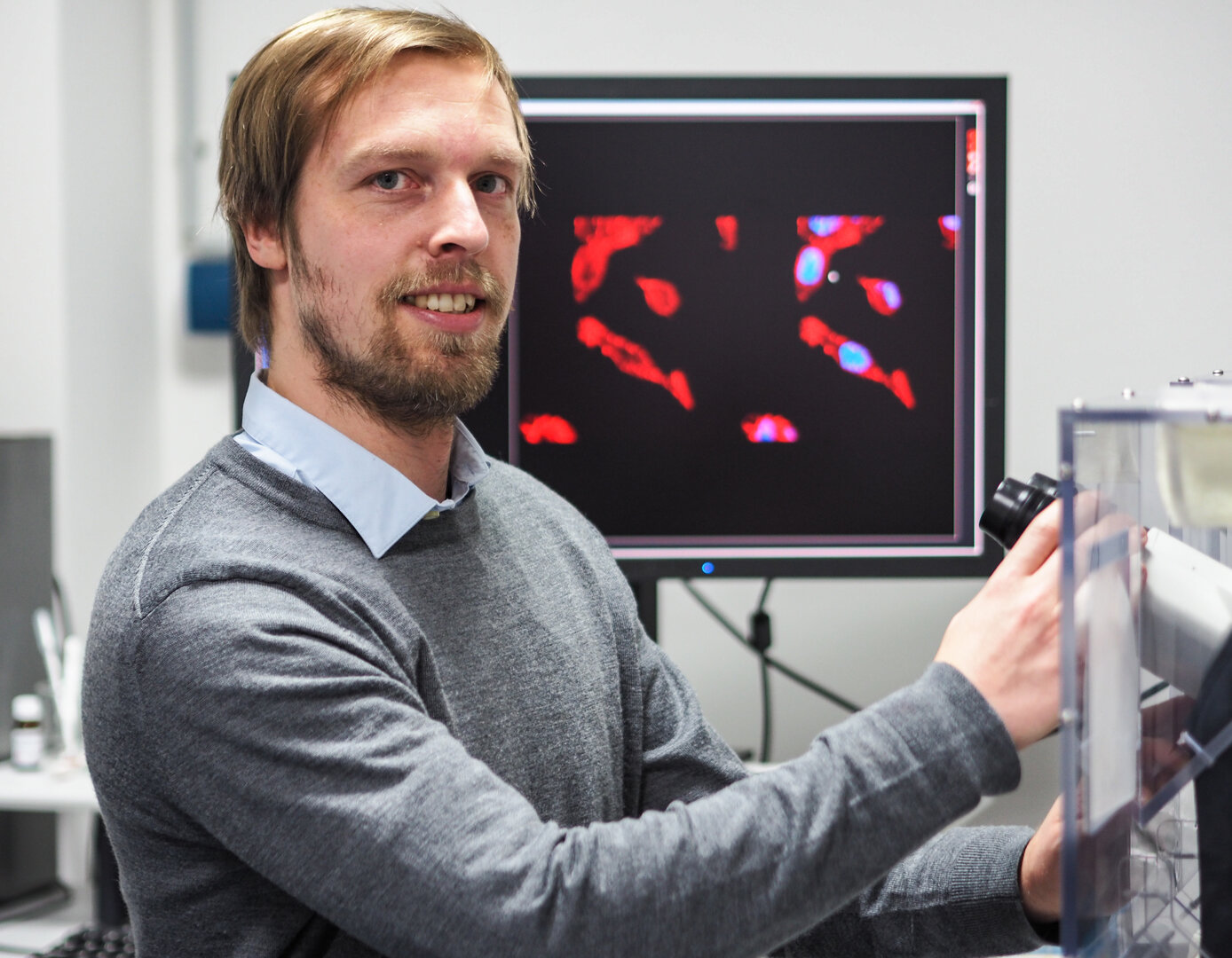 Sander Bekeschus sitzt am Mikroskop in einem Labor; auf einem Monitor hinter ihm sind rot und blau gefärbte Tumorzellen zu sehen.