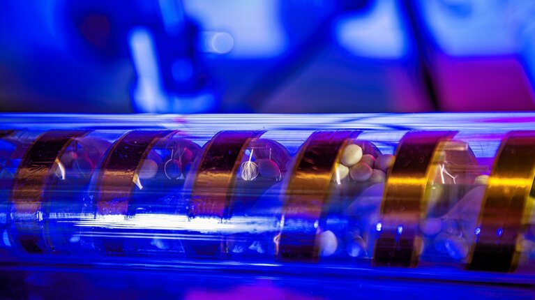 Plasmabehandlung verbessert Saatguthygiene: Abschluss des Forschungsprojekts zeigt großes Potenzial